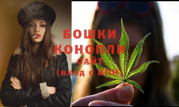 гидра Володарск