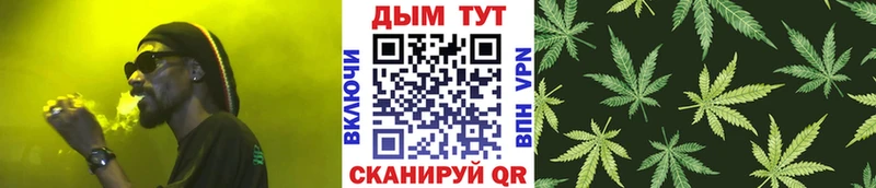 Шишки марихуана VHQ  где найти наркотики  Камень-на-Оби 
